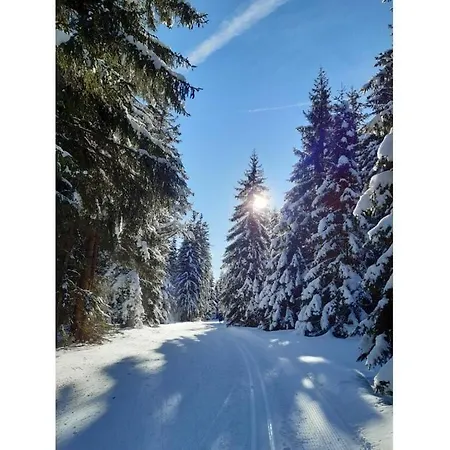 Milena - Hut No 12 Comfortable Vacation Feriehus Hohentauern