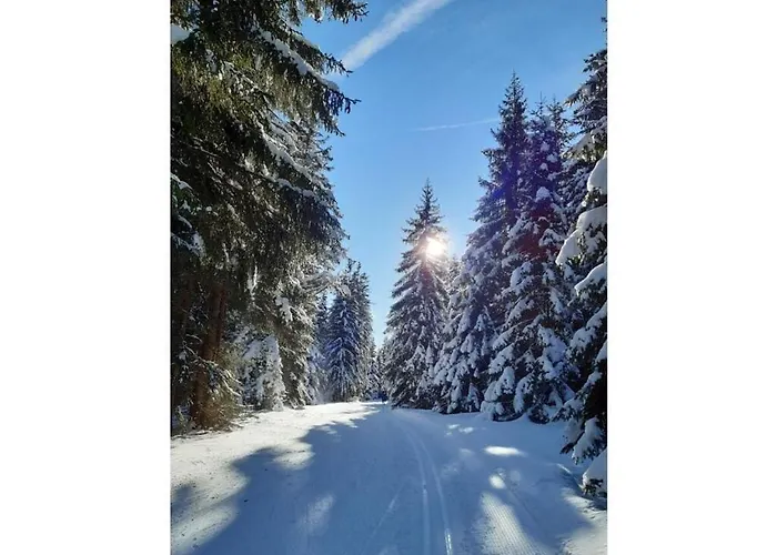 Milena - Hut No 12 Comfortable Vacation 度假居 上陶恩